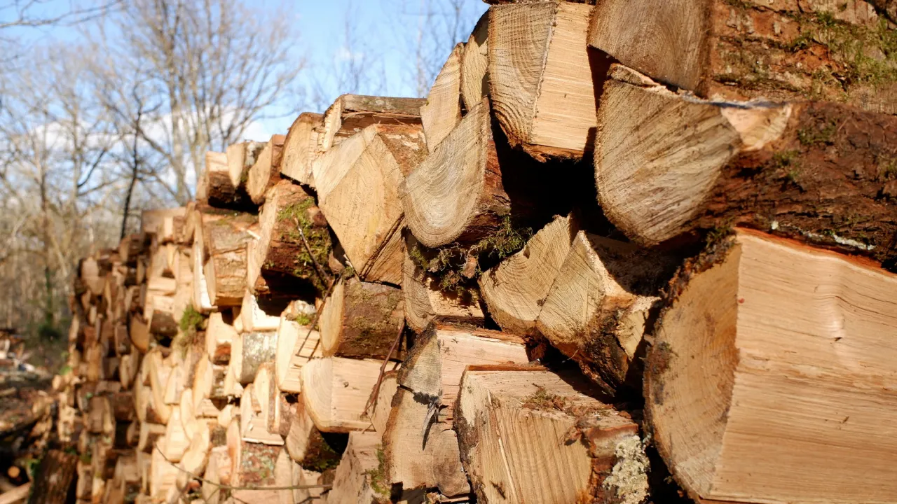 Штраф за дрова у власному дворі: адвокат пояснив, чи можуть покарати власників домоволодінь 