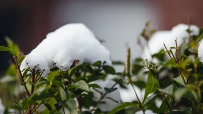 Морози до -8°C та сніг: синоптик назвав точну дату перелому погоди в Україні - фото