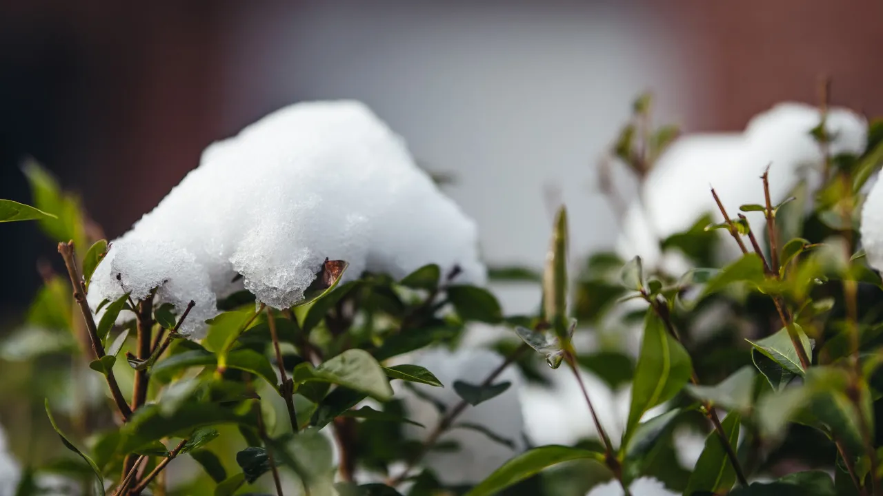 Морози до -8°C та сніг: синоптик назвав точну дату перелому погоди в Україні 