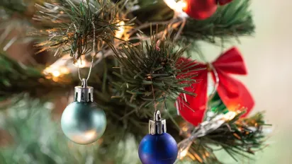 Секретний прийом: як зробити, щоб аромат ялинки тримався цілий місяць - фото