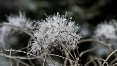 Що не можна позичати сусідам 11 грудня, щоб не пртитягнути лихо: народні прикмети - фото