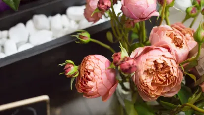 Підготовка півоній до зими: 3 обов'язкові кроки для пишного цвітіння - фото