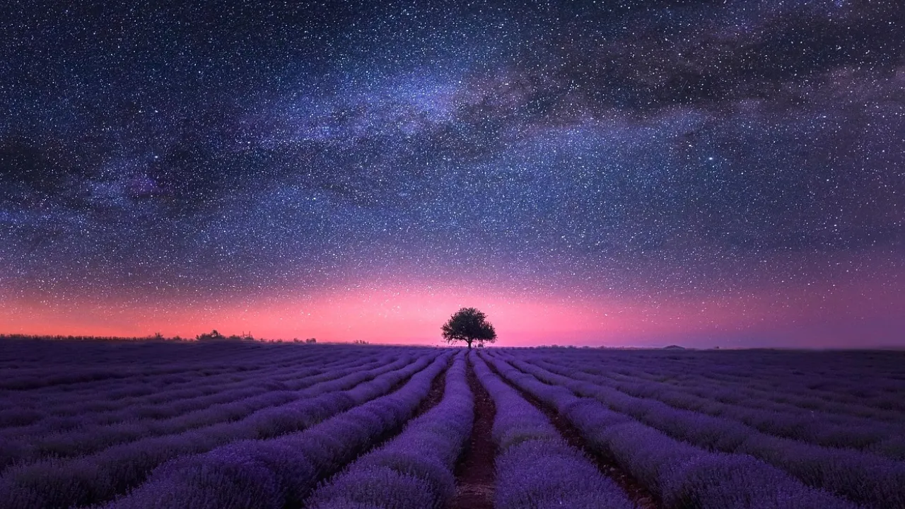 Названо 4 знаки зодіаку, яких очікує приємний сюрприз цими вихідними 