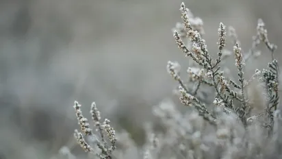 Де 13 грудня не можна залишати віник, щоб не притягнути нечисту силу: народні прикмети - фото