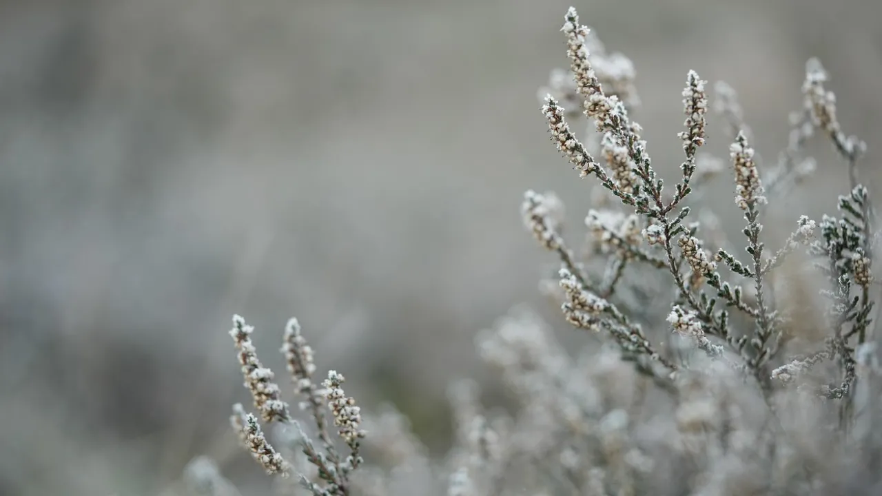 Де 13 грудня не можна залишати віник, щоб не притягнути нечисту силу: народні прикмети 