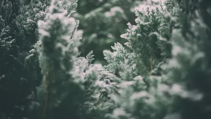 Похолодання, мокрий сніг і сильний вітер: якою буде погода 14 грудня - фото