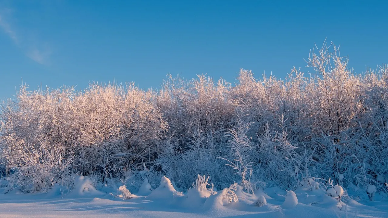 Найнебезпечніший день року: Суворі заборони 14 грудня та головні обряди, щоб відігнати нечисть 
