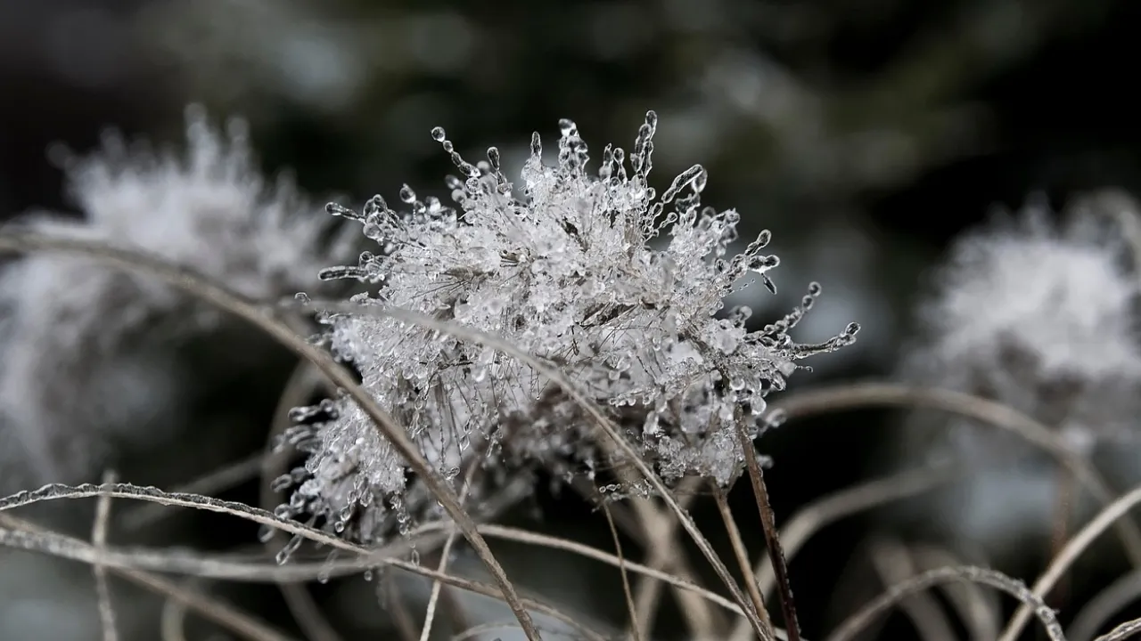 Святитель Стефан 15 грудня: Що обов'язково треба віддати з дому для удачі та 5 суворих заборон дня 