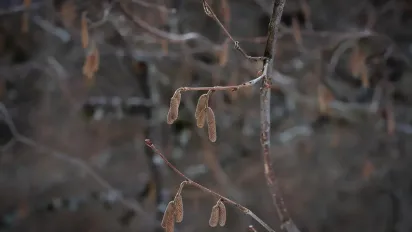Потепління з 15 грудня: де в Україні зміниться погода і чого чекати далі - фото