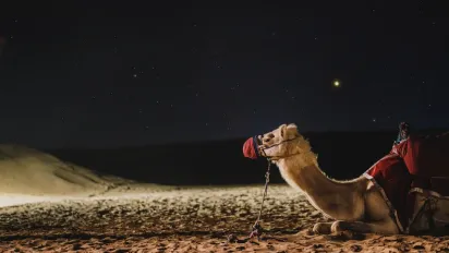 Названо 3 найвимогливіші знаки зодіаку: високі стандарти без компромісів - фото