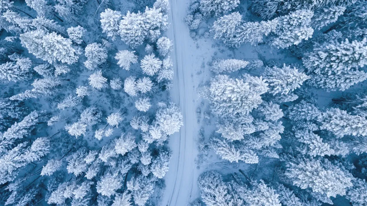 День пророка Огія 16 грудня: традиції, заборони та прикмети 