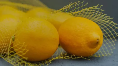 Не лише від застуди: П'ять несподіваних переваг лимона, про які мовчать дієтологи - фото