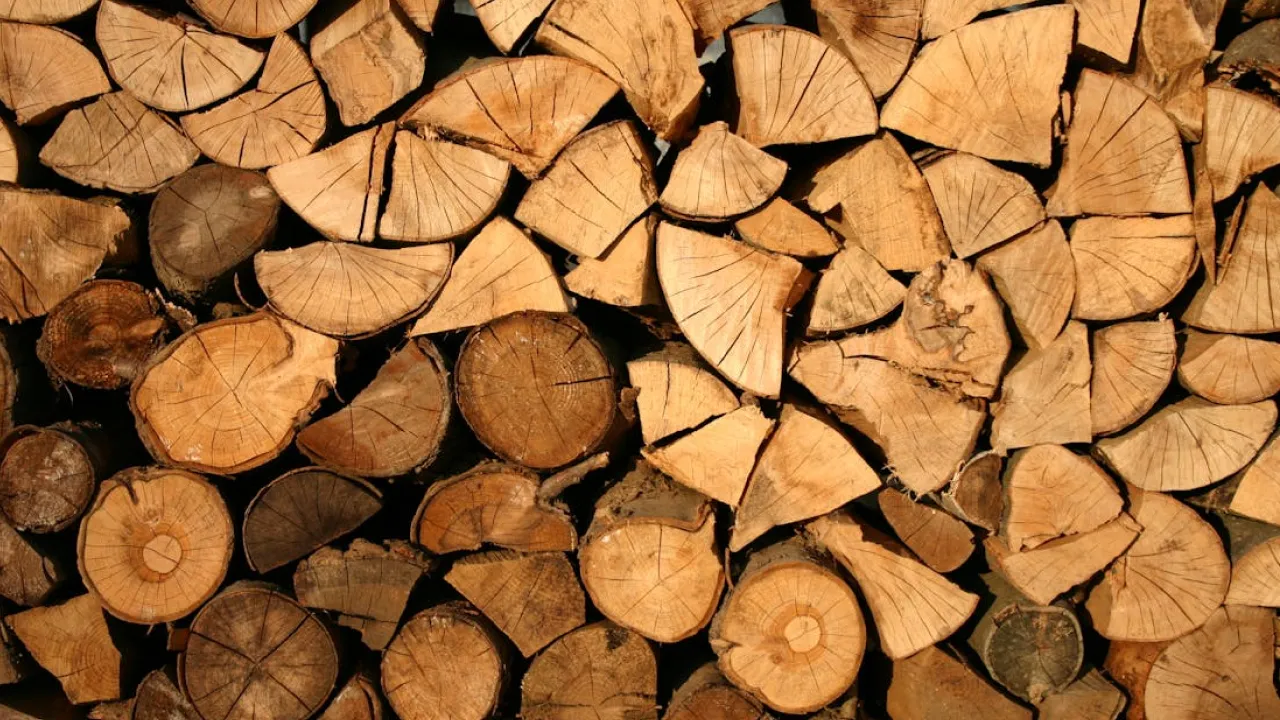 Секрет якісних дров: Коли купувати, щоб зекономити 30% і отримати максимум тепла 