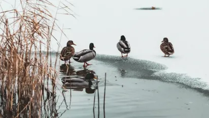 Тепло в Україні тримається: синоптики розповіли, коли чекати зиму - фото
