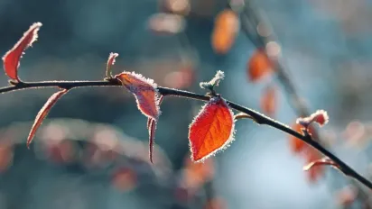Що потрібно покласти в кишеню 17 грудня, щоб притягнути багатство: народні прикмети - фото