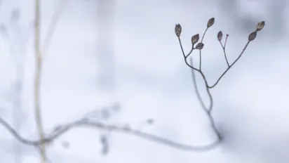 Що потрібно купити 18 грудня, щоб притягнути в новий рік багатство: народні прикмети - фото