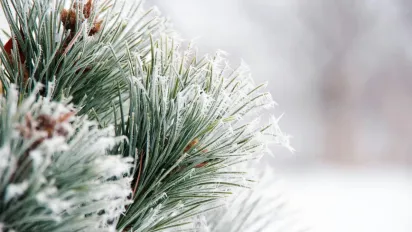 Похолодання перед Різдвом: чого чекати від погоди наприкінці грудня - фото