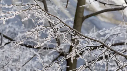Затишшя перед морозами: синоптикиня назвала дату похолодання в Україні до -12 градусів - фото
