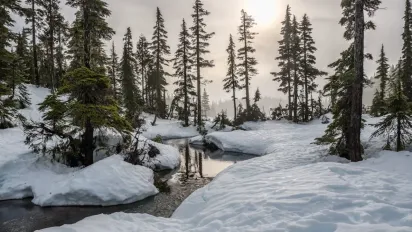День Іллі Печерського 19 грудня: чому сьогодні не можна носити старий одяг та як закликати удачу в дім - фото