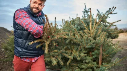Тисячі гривень штрафу або в'язниця: у Мін'юсті назвали ціну незаконно зрубаної ялинки - фото