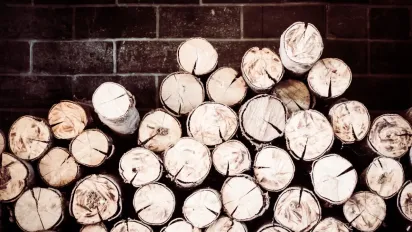 Холод у хаті та кіптява на стінах: названо три найгірші варіанти дров для зими - фото