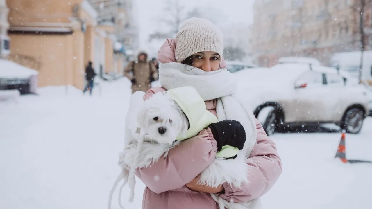 В Україні очікують похолодання: синоптикиня Діденко озвучила точну дату 