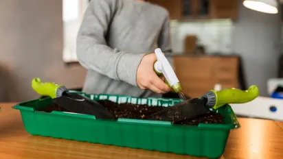 Свіжий врожай на підвіконні: 7 фруктів, які легко виростити у звичайній квартирі - фото