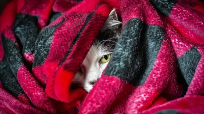 Тиждень в Україні почнеться з похолодання: прогноз на 22 грудня - фото