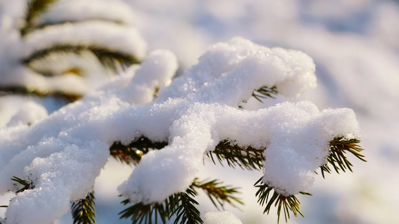 Новий рік зі снігом і морозом: якою буде погода в Україні на свята 