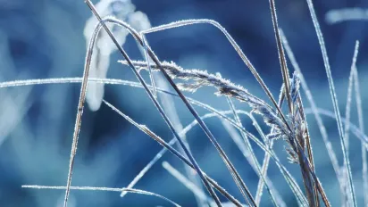 Різдво зі справжніми морозами: що чекає українців 25 грудня - фото