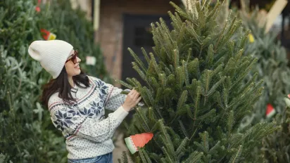 Чому ялинка починає обсипатися вже за кілька днів і як це виправити - фото