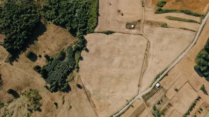 Как оценивать земельные участки перед покупкой: базовые критерии и практические ориентиры - фото