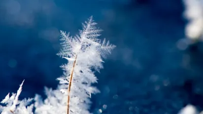 Що не можна викидати з дому 27 грудня, аби не накликати злидні: народні прикмети - фото