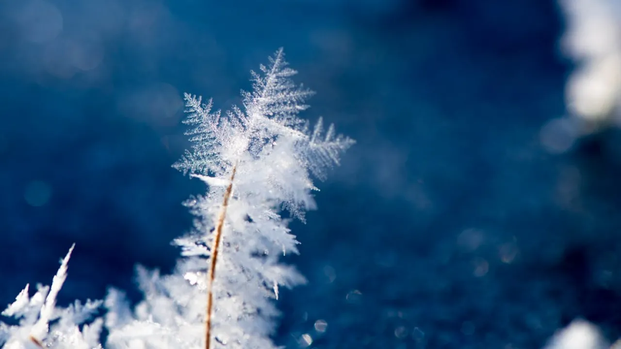 Що не можна викидати з дому 27 грудня, аби не накликати злидні: народні прикмети 