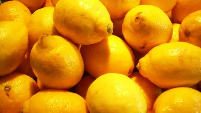 Що станеться з організмом, якщо їсти лимони щодня: для яких органів корисно - фото