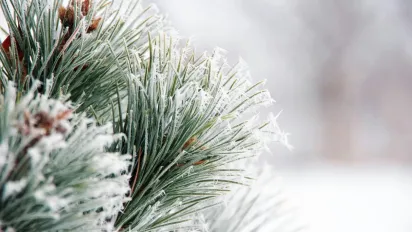 Що не можна робити з грошима 28 грудня, аби не прожити рік у злиднях: народні прикмети - фото