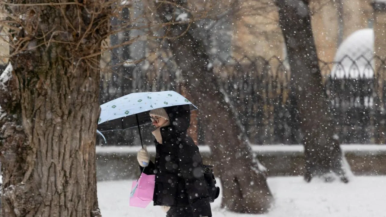 Сніг по всій країні: яка погода чекає українців 28 грудня 