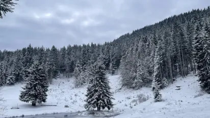 Січень буде холодним: якою буде погода в Україні на початку 2026 року - фото