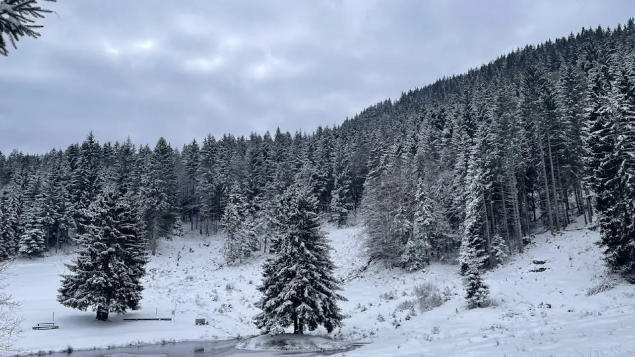 Січень буде холодним: якою буде погода в Україні на початку 2026 року 