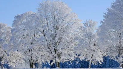 Що покласти на підвіконня 29 грудня, щоб захистити оселю: народні прикмети та суворі заборони дня - фото