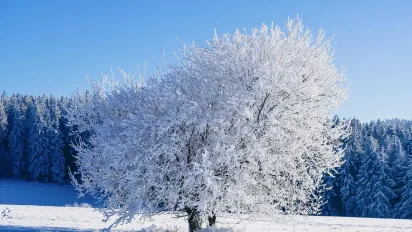 Морози до -16° і різка відлига: якою буде погода в Україні наприкінці року та на Новий рік - фото