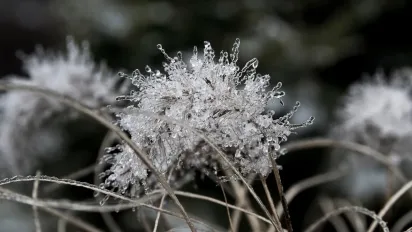 Гроші в кишені та хустка на порозі: що обов’язково потрібно зробити 30 грудня, а чого — панічно боятися - фото
