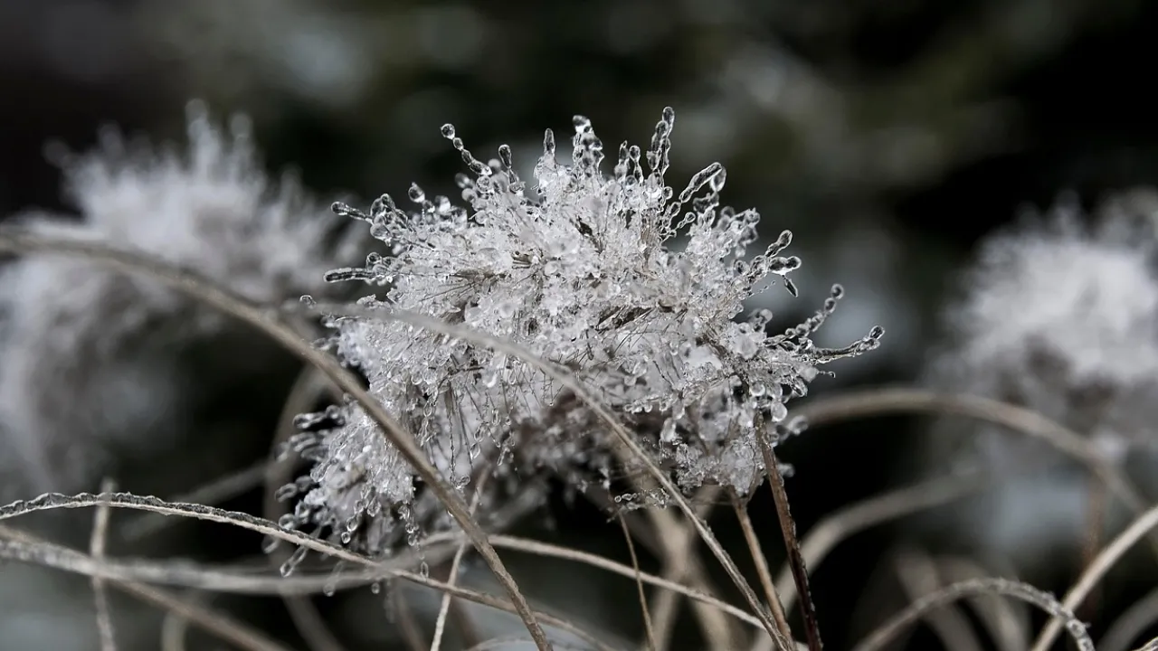 Гроші в кишені та хустка на порозі: що обов’язково потрібно зробити 30 грудня, а чого — панічно боятися 