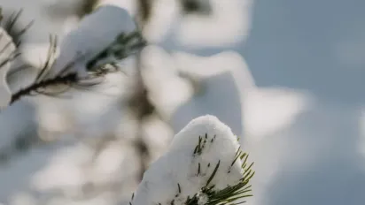 Похмуро, сніг і сильний вітер: якою буде погода в Україні 30 грудня  - фото