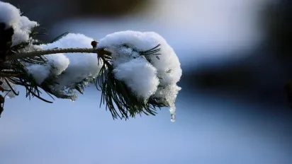 Морози ненадовго: коли в Україні потеплішає і яким буде січень 2026 - фото