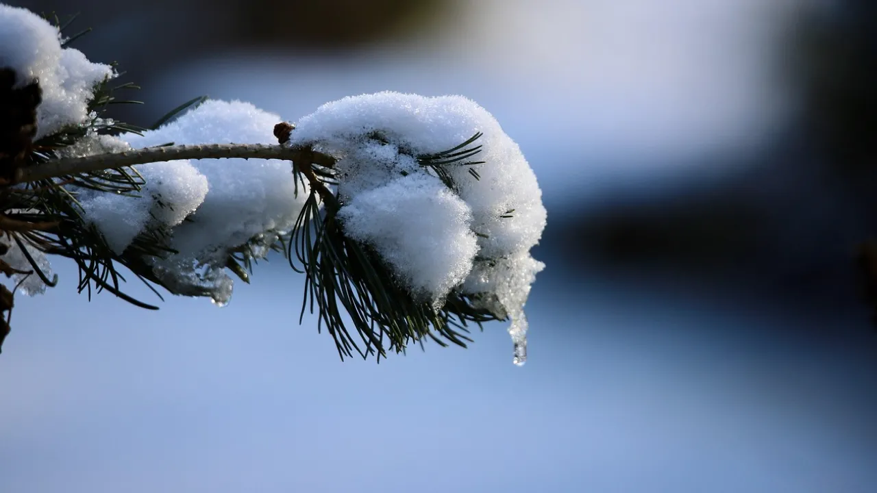 Морози ненадовго: коли в Україні потеплішає і яким буде січень 2026 