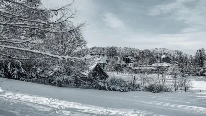Щедрий вечір 31 грудня: як залучити багатство та чому не можна рахувати дрібні гроші - фото