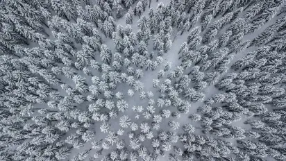 Обрізання Господнє та свято Василя 1 січня: головні заборони та чому не можна виносити сміття - фото