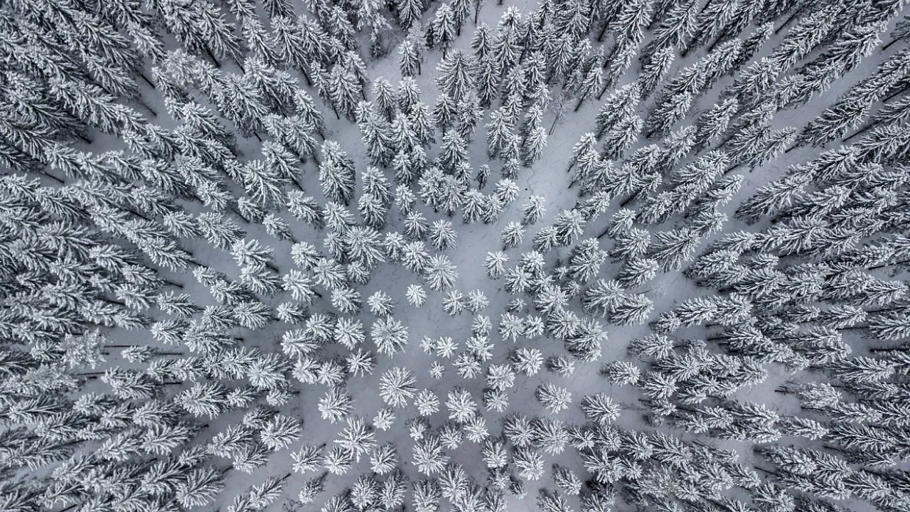 Обрізання Господнє та свято Василя 1 січня: головні заборони та чому не можна виносити сміття 