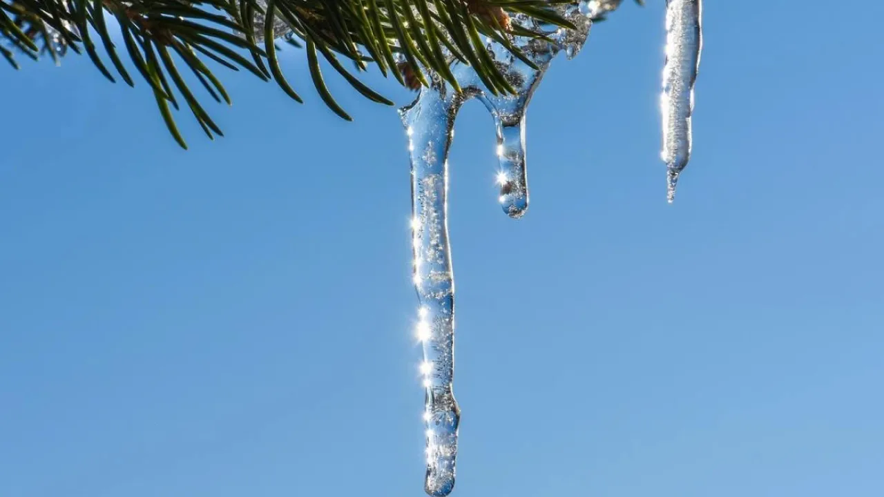 Різке потепління перед вихідними: де в Україні буде плюсова температура 2 січня 